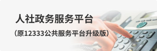 人社政务服务平台（原12333公共服务平台升级版）